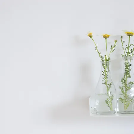 Del Sol Mykonos Apartmán *