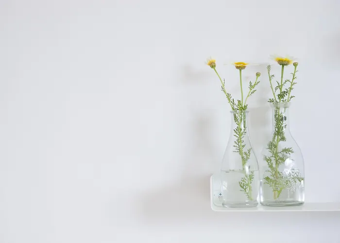 Del Sol Mykonos Apartmán *